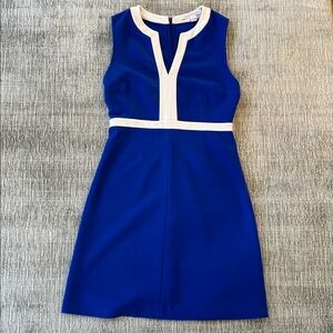 Diane VonFurstenberg Royal Blue and White Mini Dress (4)